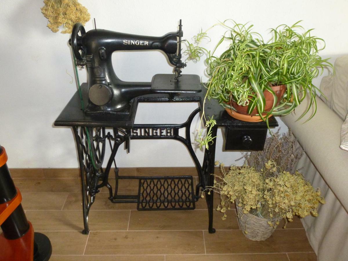Kuca Za Odmor Viola Villa Živogošće Екстериор снимка